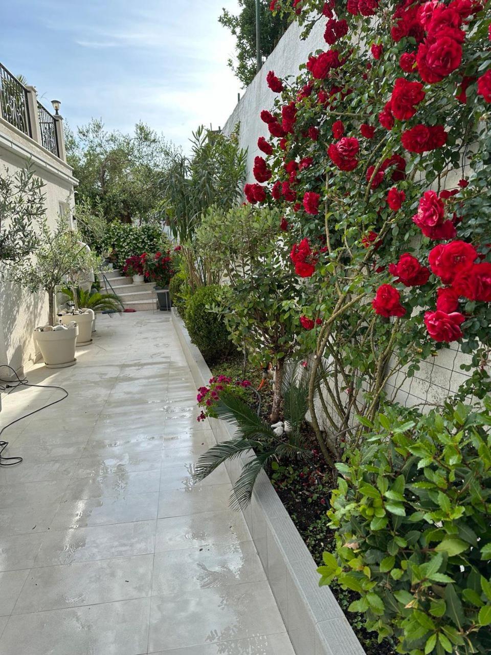 Villabijela21 أولتْسي المظهر الخارجي الصورة